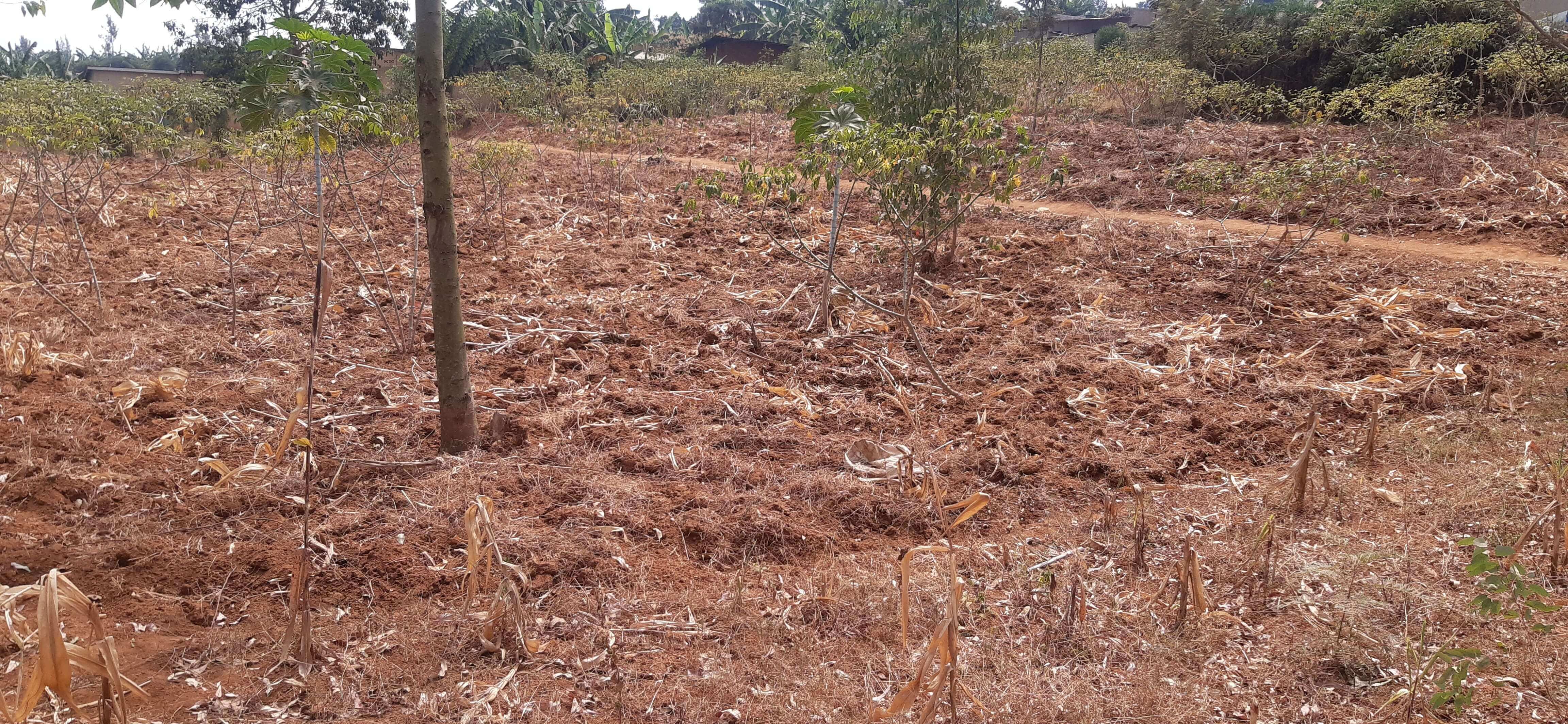 Land for sale in Bugesera near airport of Rwanda House in Rwanda